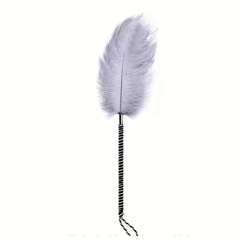 실버 페더 티저